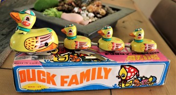 Duck family 1
